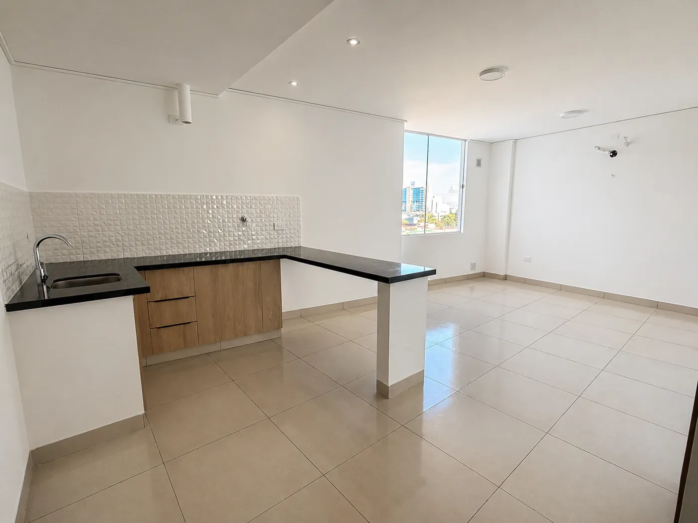 Vista de la sala de estar y cocina tipo americana moderna
